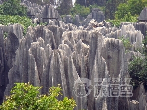 世界遺産 少数民族 を巡る三都物語 麗江 大理 昆明 