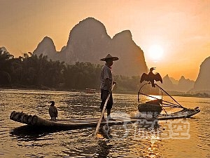桂林 鵜飼 ショー 夜景 鑑賞 ツアー （往復送迎付）