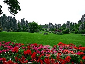 世界遺産 石林 と 九郷鍾乳洞 1日 日帰り ツアー