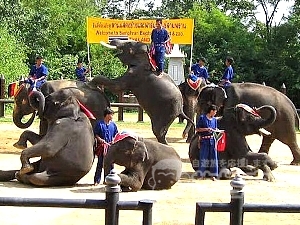 バンコク 旅行 / タイ