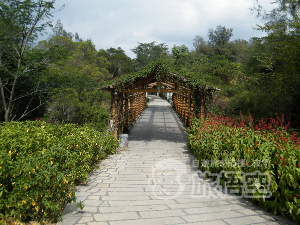 アモイ園林植物園 厦門