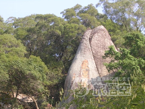 アモイ園林植物園 厦門